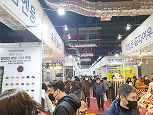 박람회 현장 사진12
